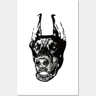 Doberman Pinscher Dobie Posters and Art